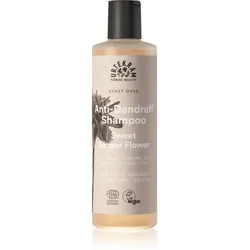 Urtekram Sweet Ginger Flower feuchtigkeitsspendendes Anti-Schuppen Shampoo mit Auszügen aus Aloe und Ingwer 250 ml