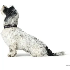Hunter Softie Deluxe Hundehalsband Schwarz 40