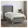 vidaXL Boxspringbett 100 x 200 cm Dunkelgrau