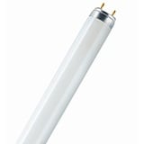 Osram Leuchtstoffröhre G13 18 W, 1350 Lumen, kaltweiß, 590 mm