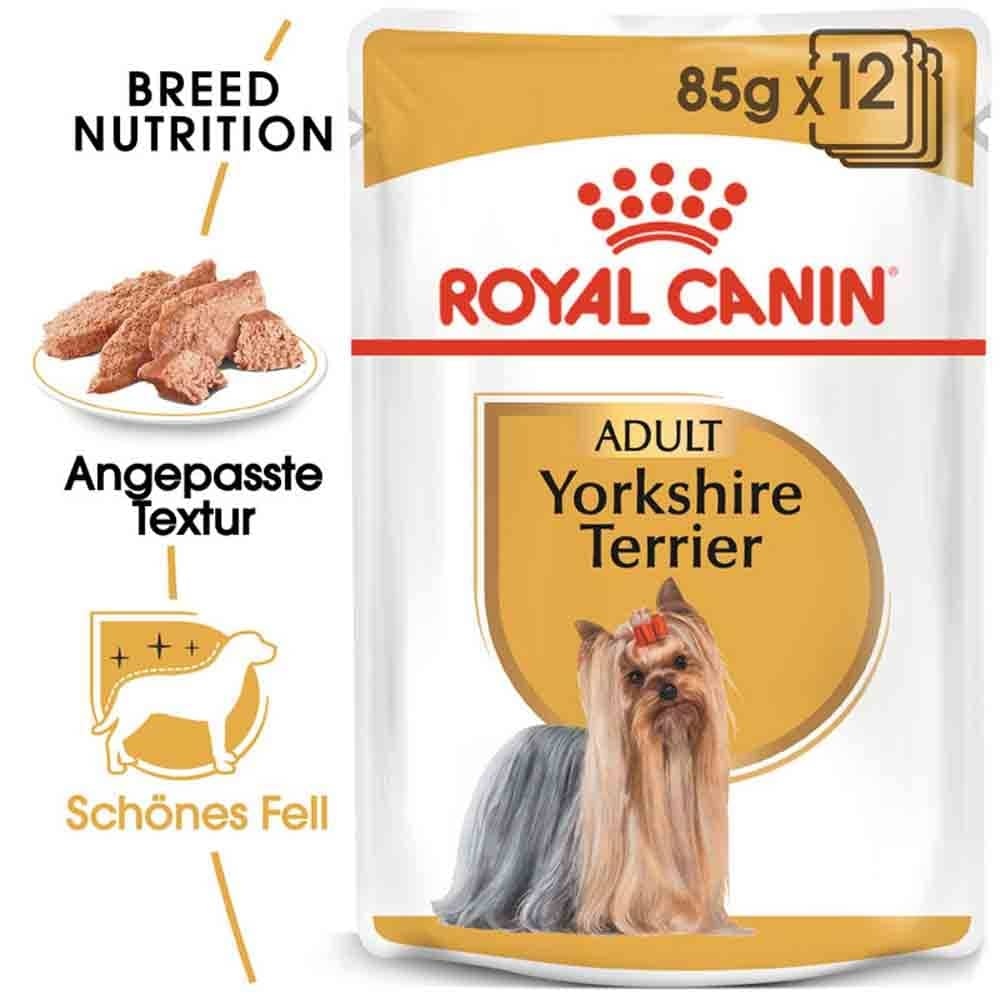 royal canin yorkshire adult
