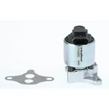 BorgWarner (Wahler) Borgwarner AGR-Ventil elektrisch, mit Dichtung