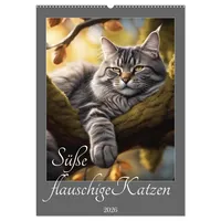 Calvendo Süße flauschige Katzen (Wandkalender 2026 DIN A2 hoch),