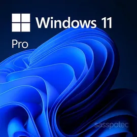 Microsoft Windows 11 Pro ESD + PKC ML
