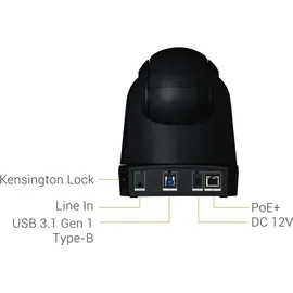 AVerMedia AVer DL30 Schwarz