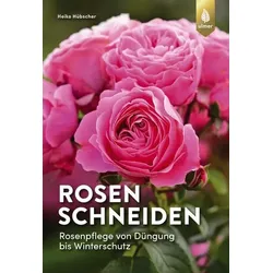 Rosen schneiden