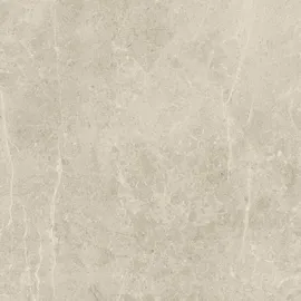 Euro Stone Terrassenplatte Feinsteinzeug braun 60 x 60 x 2 cm 2 St.