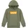 Levi's Levi ́s ® Kids Batwing Screeenprint Kapuzenpullover - Olivine 3 Jahre