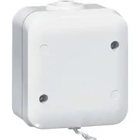 PEHA by Honeywell Zugschalter Grau 387621