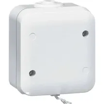 PEHA by Honeywell Zugschalter Grau 387621