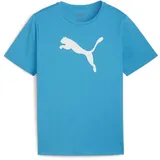 Puma teamRISE Logo Baumwolltrikot Jungen 02 speed blue/white 176