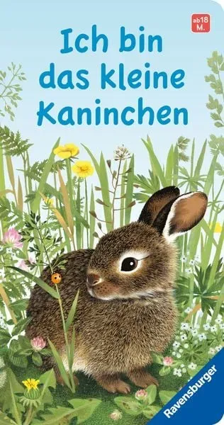 Preisvergleich Produktbild Ich bin das kleine Kaninchen