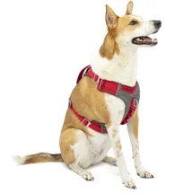 Kurgo Journey Air Hundegeschirr, rot XL,