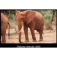 Vero Kalender Elefanten Kalender 2025 Fotokalender DIN A3 von