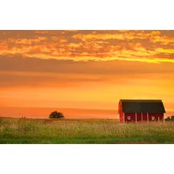 Fototapete PAPERMOON "Bauernhof Landschaft", bunt (mehrfarbig), B:4m L:2,6m, Vlies, Tapeten