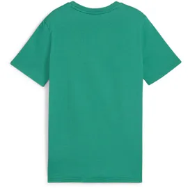 Puma Teamgoal Casuals Tee Jr T-Shirt, Sport Green-puma White, 164