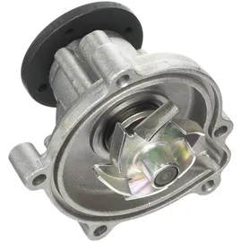 Graf Wasserpumpe PA1179