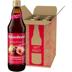 Rabenhorst Wohlfühlen mit Eisen  6x700 ml Saft