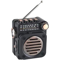 wiianoxd FM Radio Mini FM AM SW Radio Empfänger Eingebauter Lautsprecher Wireless Bluetooth 5.0 Musikplayer mit LED Taschenlampe