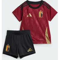 Adidas Belgien 24 Mini-Heimausrüstung