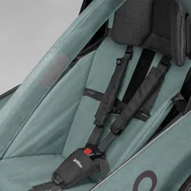 Qeridoo Qupa 1 Plus Kinderfahrradanhänger blau