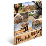 Herma Sammelmappe Tiere A3 afrika tiere