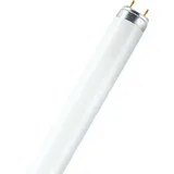 Osram Leuchtstofflampe 38W Coolwhite