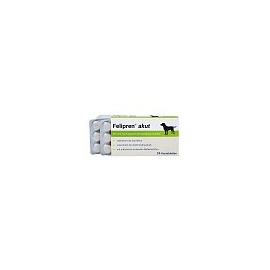 Felinapharm GmbH Felipren akut 24 St.