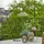 Star Trading Vide Lampenschirm rund beige