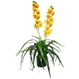Kunstorchidee Künstliche Orchidee Kunstpflanze Pflanze Kunstblume Gelb Topf 90 cm Orchidee, Decovego, Höhe 90 cm gelb|grün