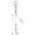 Hansgrohe Talis E 240 Einhandmischer polished gold optic 71717990
