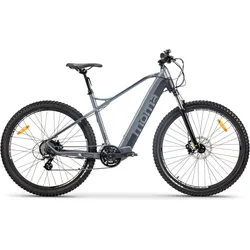 E-MTB 29