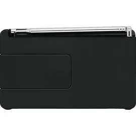 TechniSat DigitRadio 1 schwarz/silber