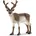 Schleich Wild Life Rentier 14837