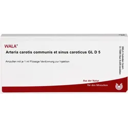 ARTERIA CAROTIS COMMUNIS et sin.carot.GL D 5 Amp. 10 ml
