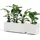Euro3Plast Greener Kebe 100 x 40 x 100 cm Weiß