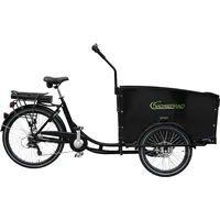 Sachsenrad T1 Grand Trunk 2023 20 Zoll RH 50,8 cm Unisex schwarz
