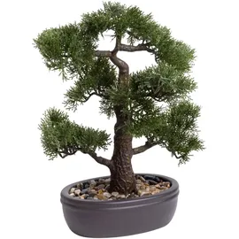 Botanic-Haus Kunstbonsai Ceder Bonsai Ceder, Botanic-Haus, Höhe 45 cm grün