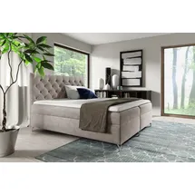 Fun Möbel Fun Moebel - Beige