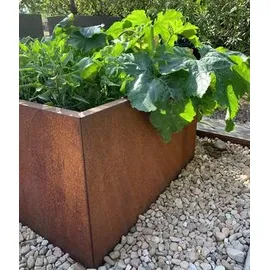 Palatino Clara 80 x 80 x 50 cm Braun