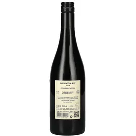 Weingut Markowitsch Carnuntum Cuvee - Zweigelt/Pinot Noir Weingut Markowitsch 2024