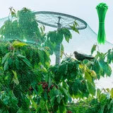 Vogelnetz, Vogelschutznetz Engmaschig 2x10M, Taubennetz Balkon Gartennetz