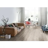 EGGER Laminat 7 mm Eiche Melba Grau