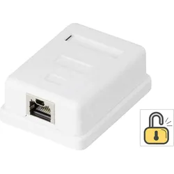 1 Port Netzwerkdose Aufputz CAT 6 Renkforce KSV-ND10 Weiß RF-4473849