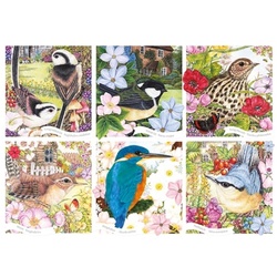 Otter House Puzzle »Anne Mortimer RSPB Garden Birds 1000 Teile Puzzle«, Puzzleteile bunt