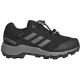 Adidas Terrex GTX Wanderschuh Core Black / Grey Three / Core Black 32