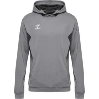 Hummel hmlAUTHENTIC Poly Hoodie 2006 grey melange XL