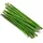 Salewa Litetrek Ii Stockset - Green - One Size