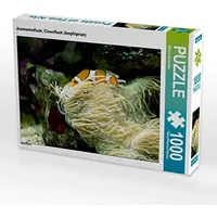 Calvendo Anemonenfisch, Clownfisch (Amphiprion) Puzzle