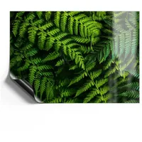 Deqori Magnetfolie universal 42x30 cm (A3) | Motiv Grüne